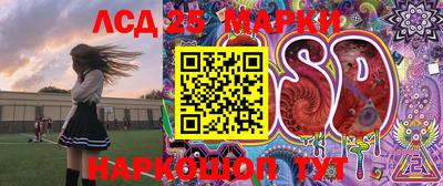 крисы Анапа