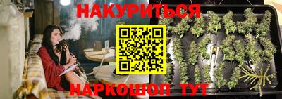 крисы Анапа