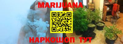 крисы Анапа