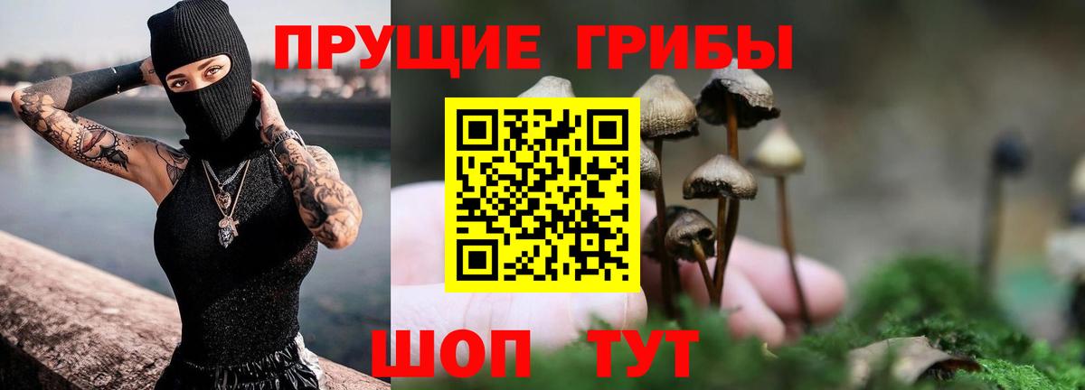 Псилоцибиновые грибы MAGIC MUSHROOMS  Вход с VPN  Абакан 